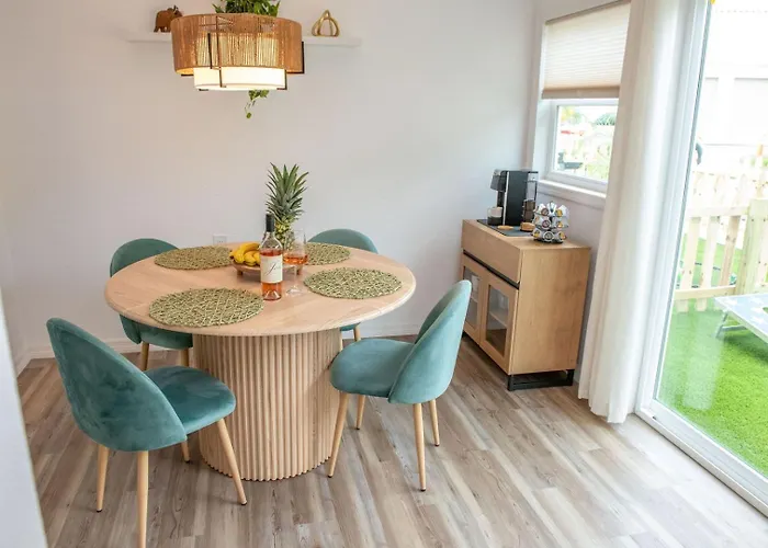 Gulf Coast Escape • Grill + Cornhole • Workspace